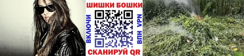 Каннабис планчик  цена   Чита 